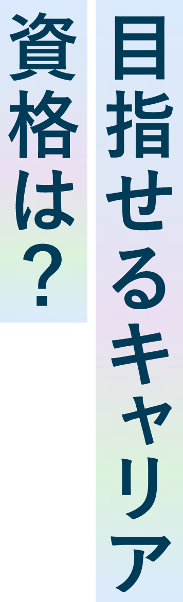 目指せるキャリア資格は？