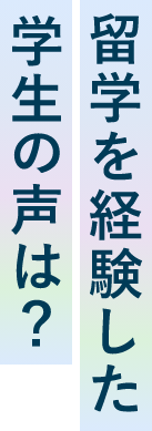 留学を体験した学生の声は？