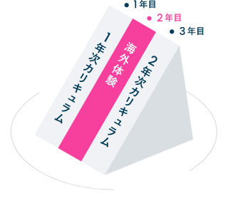 サンドイッチ留学の図説