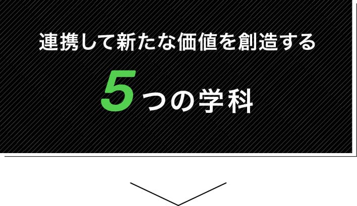 連携して新たな価値を創造する5つの学科