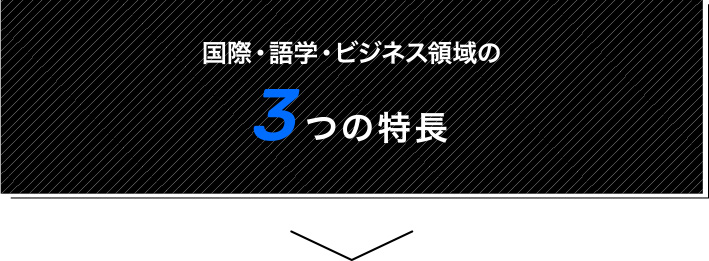 国際・語学・ビジネス領域の3つの特長