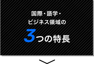 国際・語学・ビジネス領域の3つの特長