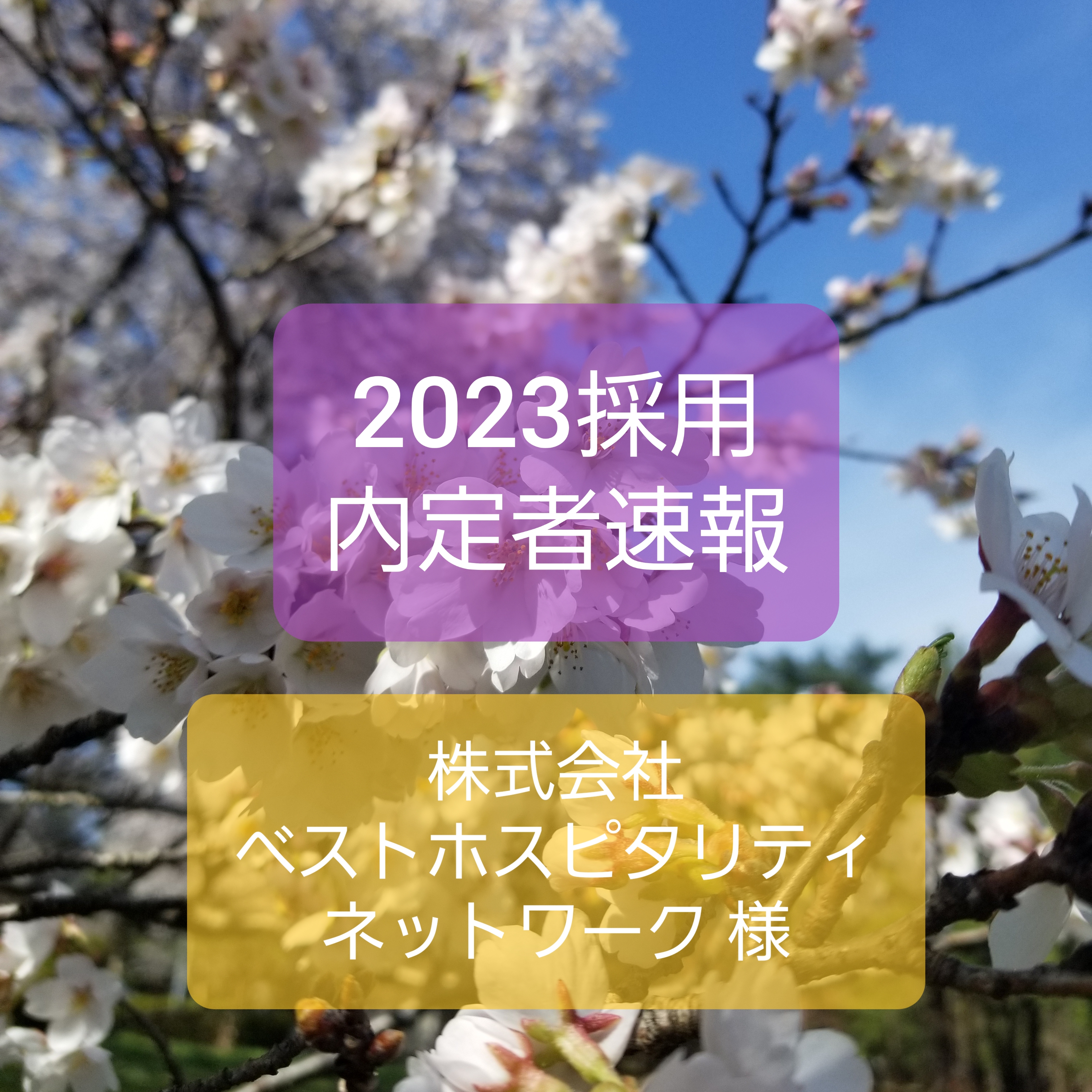 2023採用　内定速報