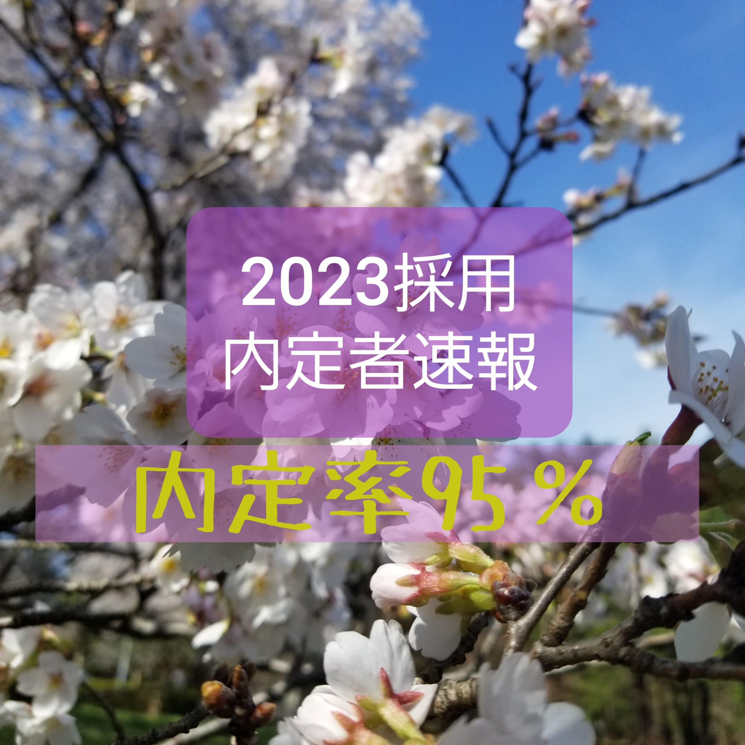 8月26日時点 2023採用内定速報！